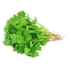 https://test.foodsfactory.co.in/Fastfood/upload/images/0098-2020-10-03.jpg