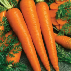 https://test.foodsfactory.co.in/Fastfood/upload/images/2136-2019-08-03.jpg