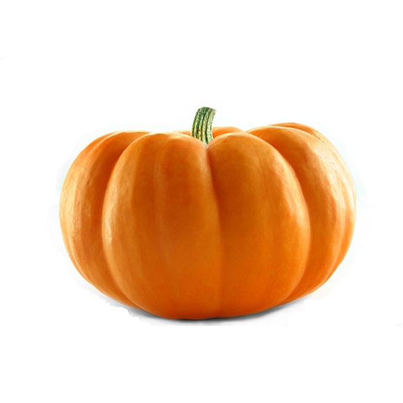 https://test.foodsfactory.co.in/Fastfood/upload/images/2370-2020-02-25.jpg