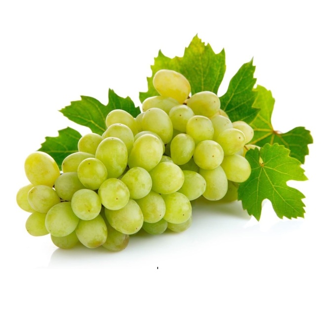 https://test.foodsfactory.co.in/Fastfood/upload/images/3931-2020-02-25.jpg