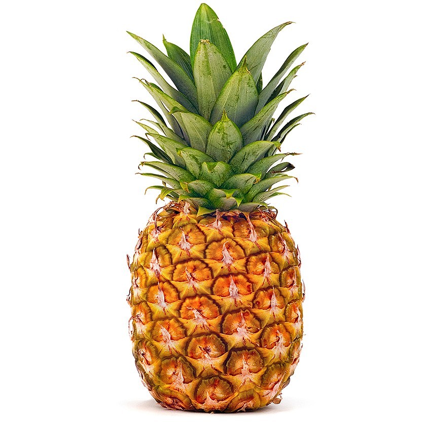 https://test.foodsfactory.co.in/Fastfood/upload/images/5143-2020-02-26.jpg