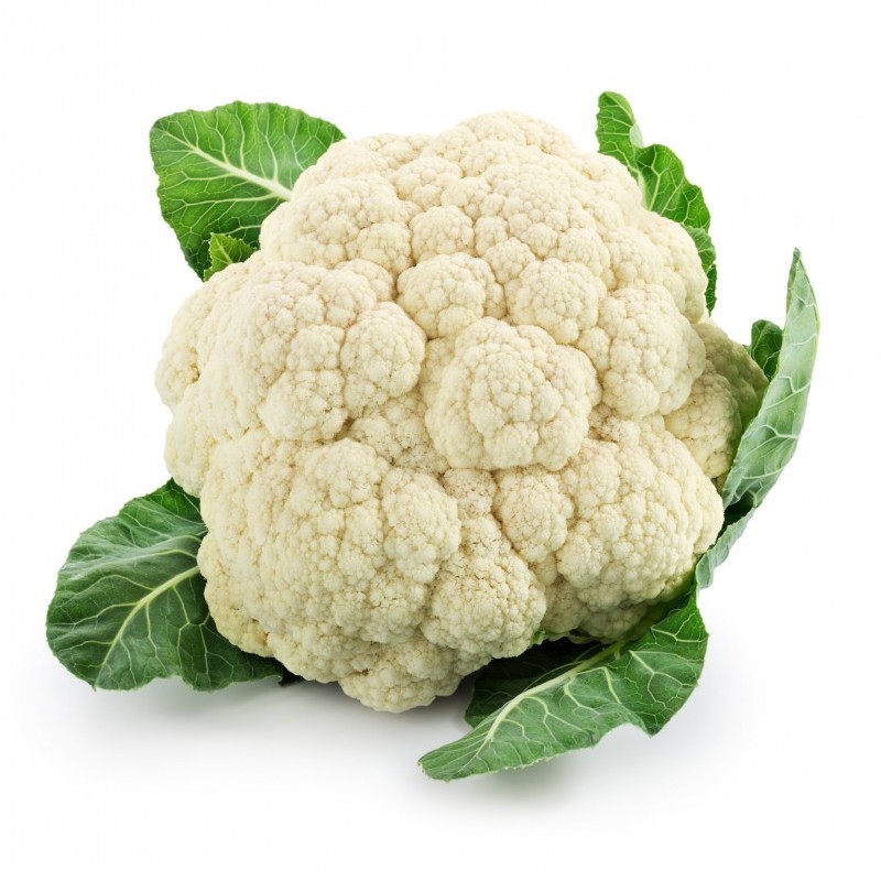 https://test.foodsfactory.co.in/Fastfood/upload/images/5376-2020-02-25.jpg