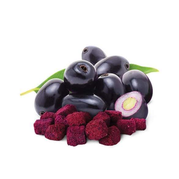 https://test.foodsfactory.co.in/Fastfood/upload/images/5609-2020-10-05.jpg