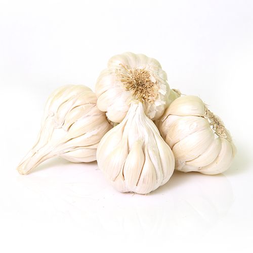 https://test.foodsfactory.co.in/Fastfood/upload/images/6676-2020-02-26.jpg