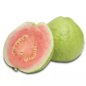 https://test.foodsfactory.co.in/Fastfood/upload/images/6755-2020-02-25.jpg