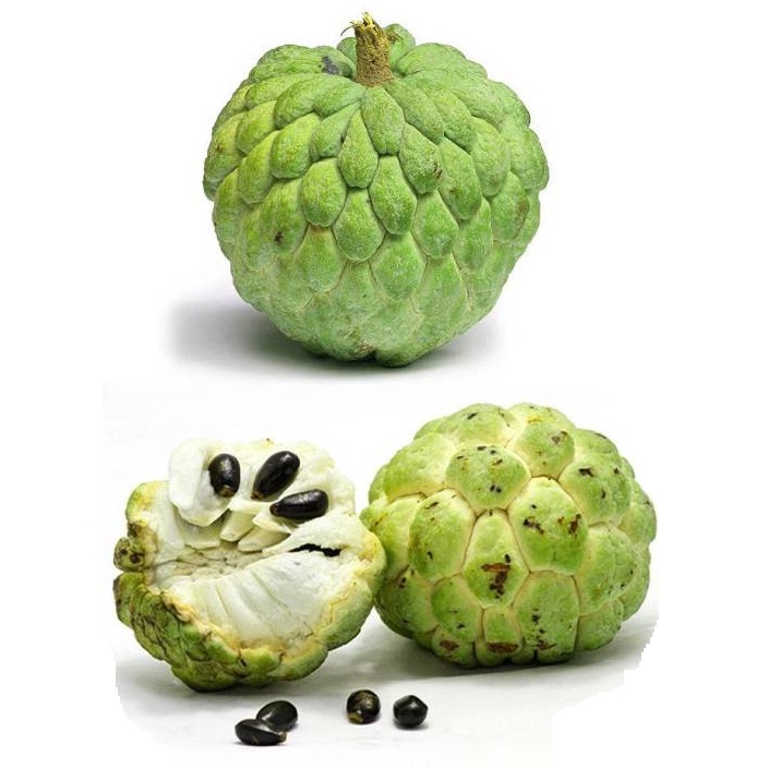 https://test.foodsfactory.co.in/Fastfood/upload/images/6886-2020-10-05.jpg