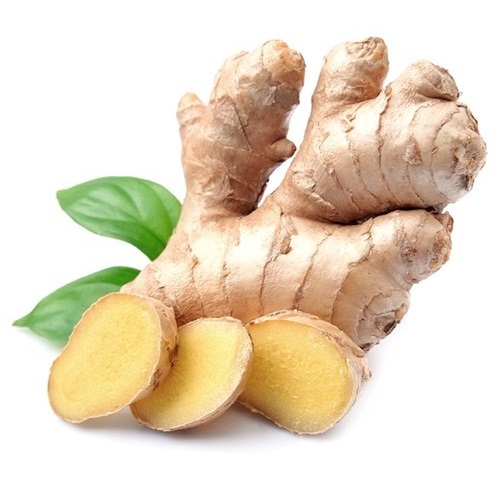 https://test.foodsfactory.co.in/Fastfood/upload/images/8251-2020-02-26.jpg