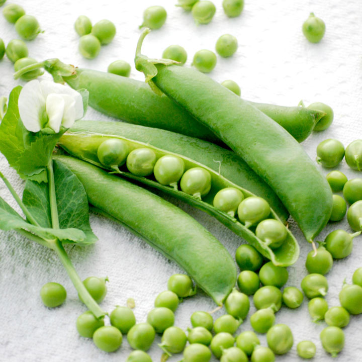 https://test.foodsfactory.co.in/Fastfood/upload/images/9568-2020-02-26.jpg