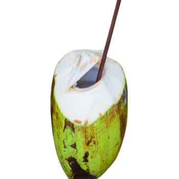 https://test.foodsfactory.co.in/Fastfood/upload/images/9900-2021-08-09.png